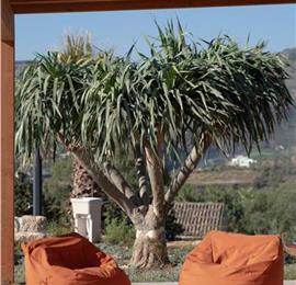 3 bedroom villa with pool near Castellamarre del Golfo, sleeps 5